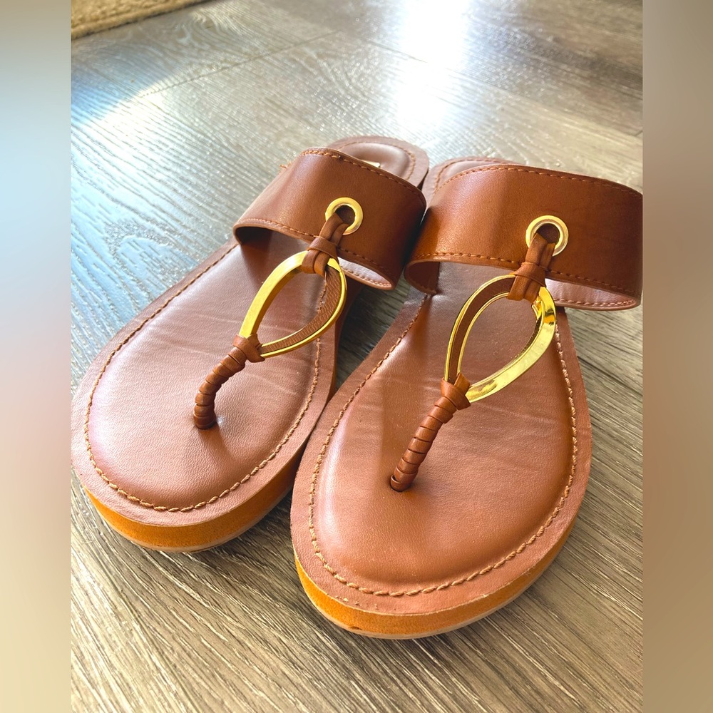 Brown Aldo Sandals With Gold Between Toe (6.5)